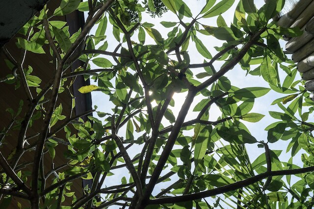 アワル・ヴィラ