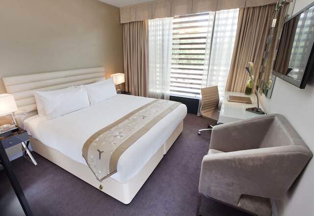 ドーセット シェパーズ ブッシュ