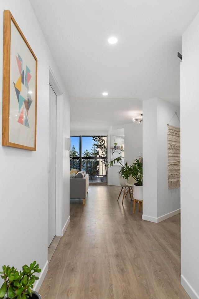 ホライズン ホリデイ アパートメンツ