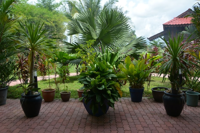 サンセット バレー