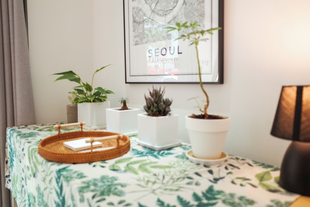 スターリア ホステル フォーリン ゲスト オンリー