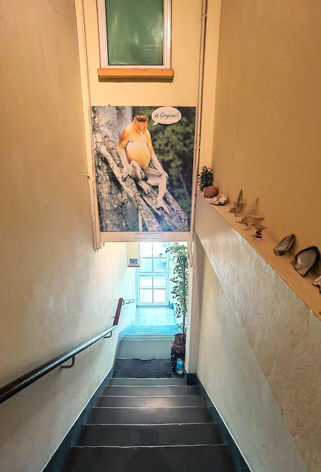 ラベンダー ロッジ