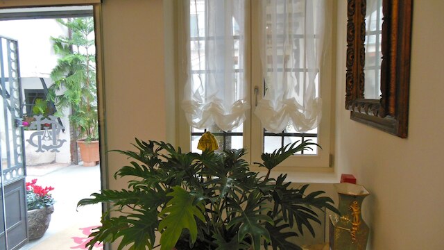 サンタントニン アパートメント