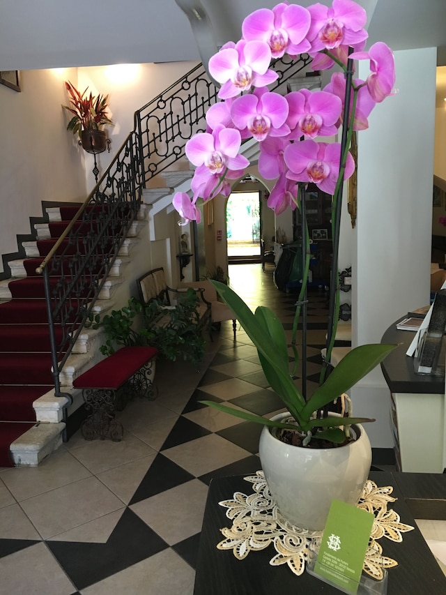 サンタントニン アパートメント