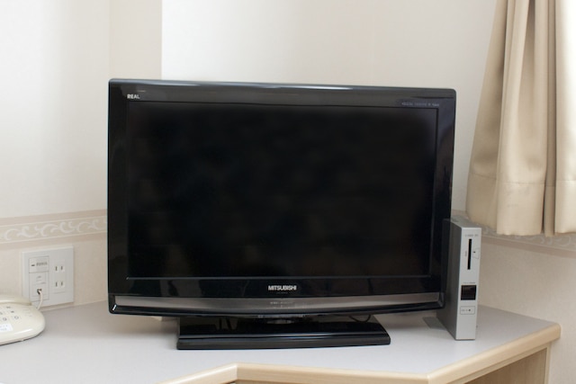 ワカヤマ第 1 冨士ホテル