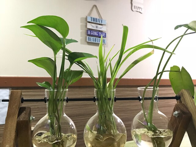 イスカンダル シンスラン ゲストハウス