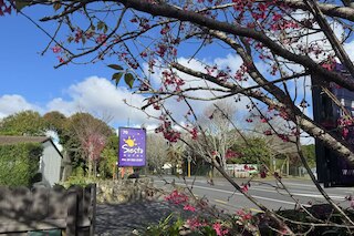 シエスタ モーテル