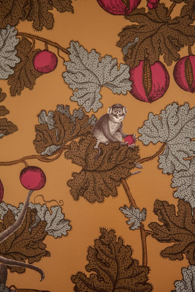 カ デラ シンミア