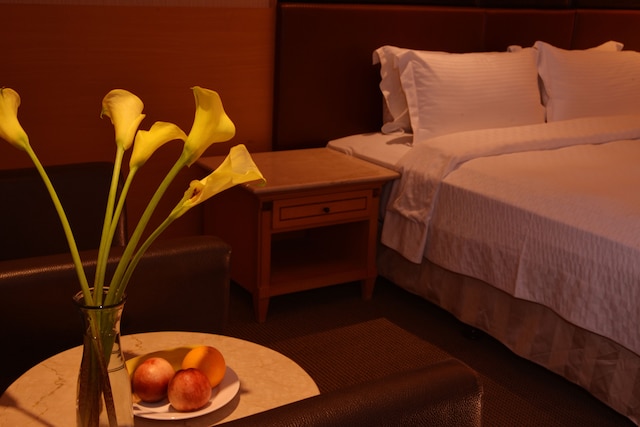 オール ファン ビジネス ホテル (歐風商旅)