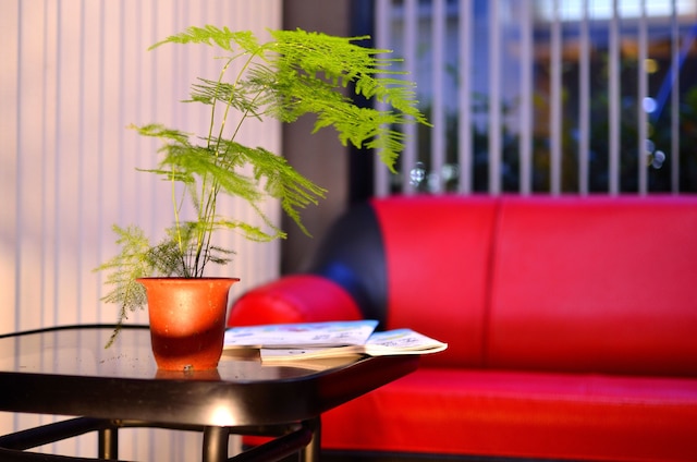 キング タウン ホテル (京城大飯店)