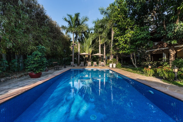 ラ パルメライエ・ダンコール