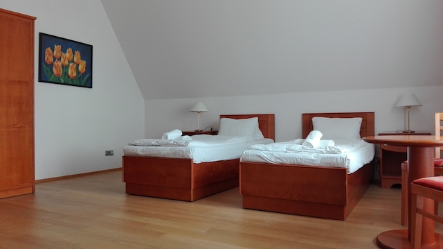 ペンション ヤャナ - ドモフ ムラデジェ