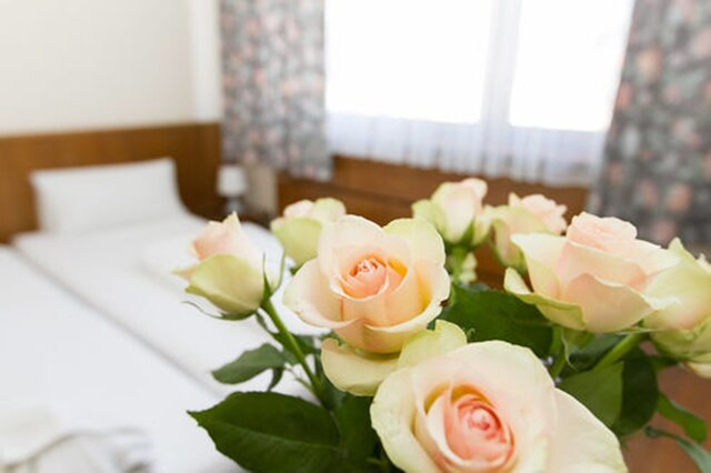 ホテル シュプリーヴィッツ アム クアフュルステンダム