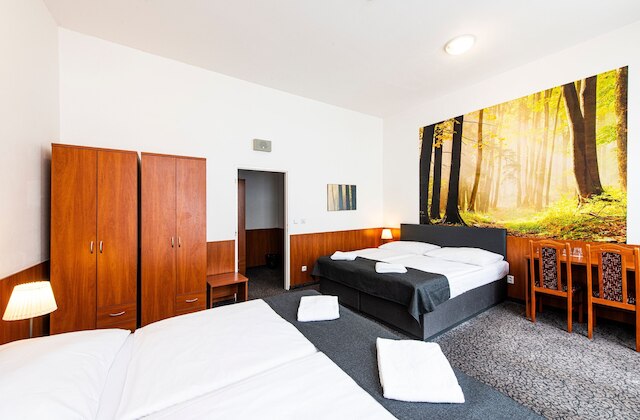 ホテル ズラタ ヴァハ