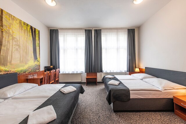 ホテル ズラタ ヴァハ