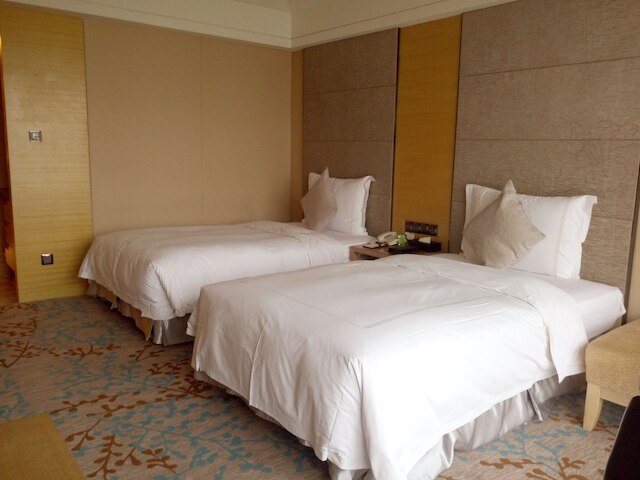 グランド スカイライト インターナショナル ホテル グイヤン (深セン中航城格蘭雲天大酒店)