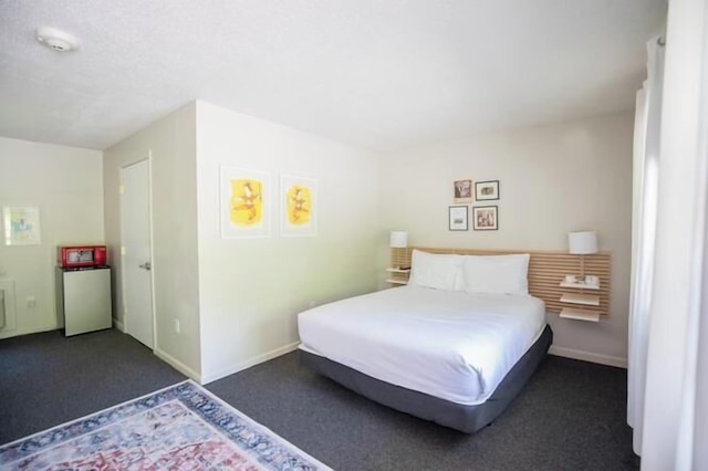 ザ リトル ライオン