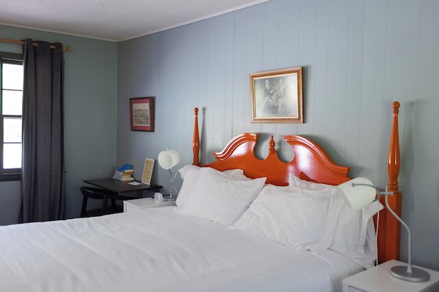 ザ リトル ライオン