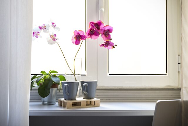 デュルチス イン フンド