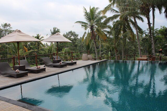 マニュ ビレッジ