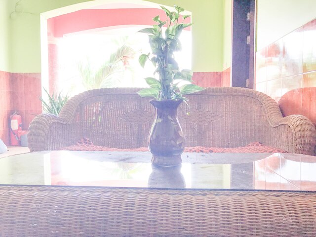 タ ソム ゲストハウス & ツアー サービス