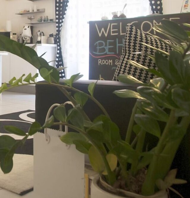 ビィハウス ナポリ ルーム アンド ブレックファスト