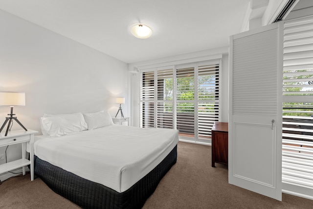 ザ オアシス アパートメンツ