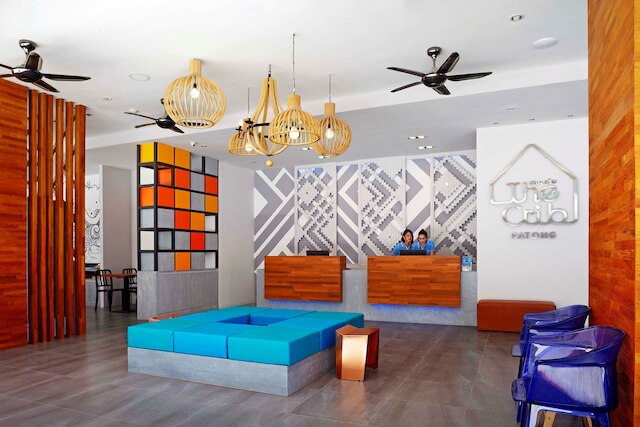 ザ クリブ パトン