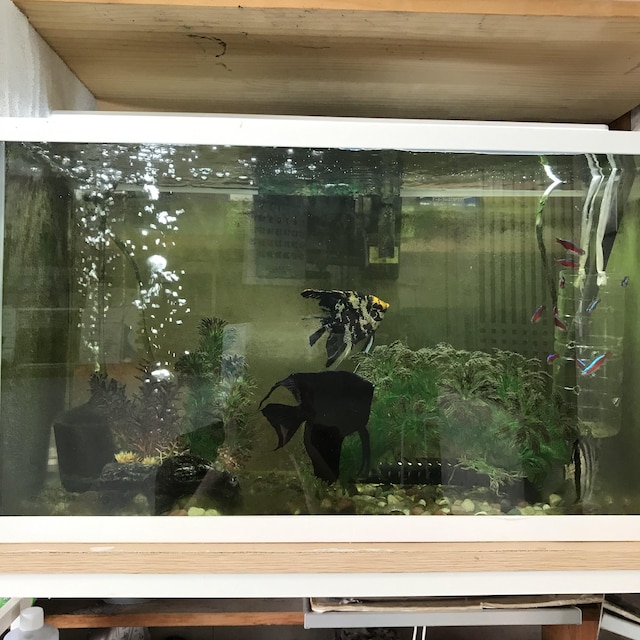 ホテルダイヤモンド