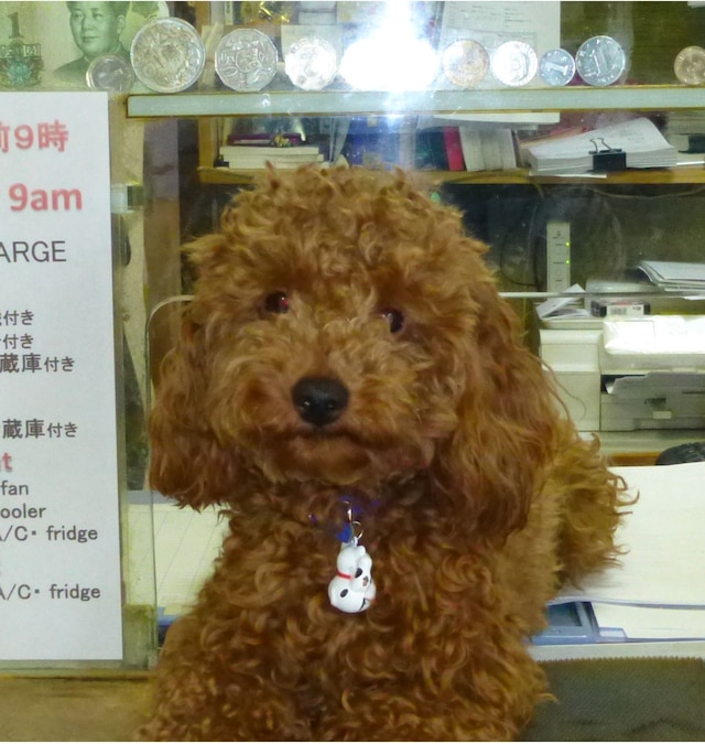 ホテルダイヤモンド