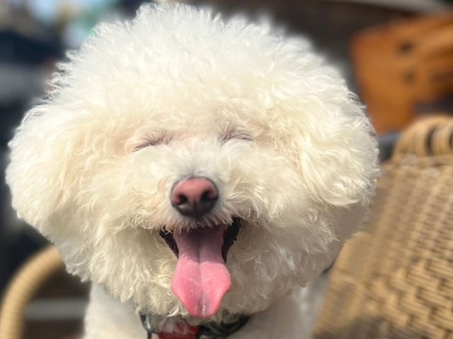 BAN HOTEL 築地銀座