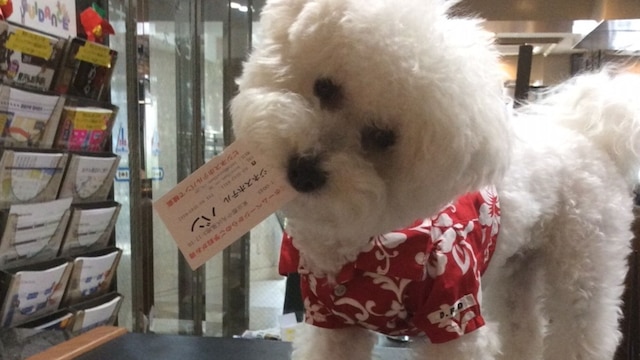 BAN HOTEL 築地銀座