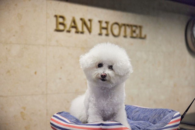 BAN HOTEL 築地銀座