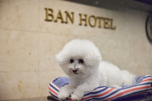 BAN HOTEL 築地銀座