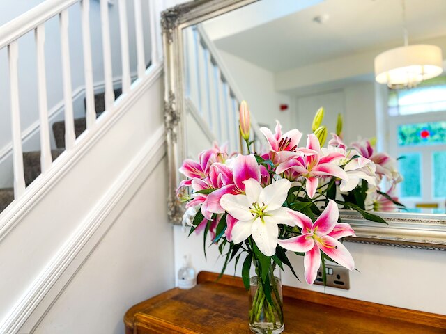 アッシュフィールド ブティック ステイズ