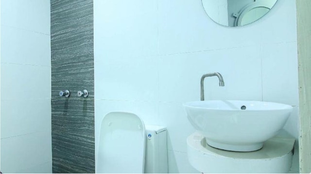 アストロテルディビソリア