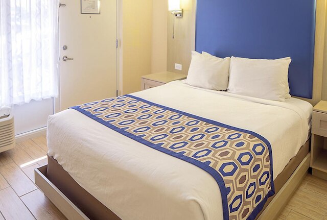 ドルフィンビーチクラブ