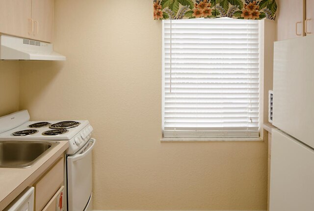 ドルフィンビーチクラブ