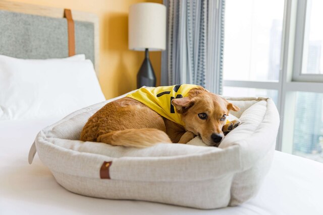 セントラル オールドタウン