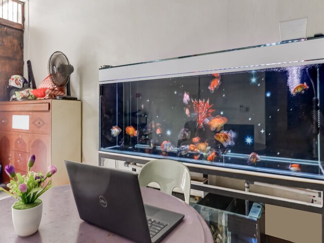 OYO  91287 ジェジェ ホームステイ