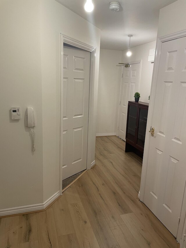 パリ ロイヤル パラダイス