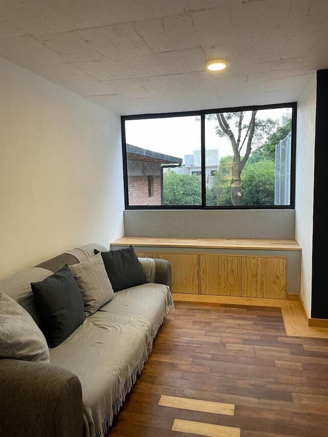 ミナ 32 - コヨアカン