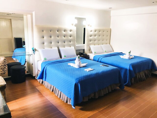 タウンアンドカントリーホテル - V. マパ