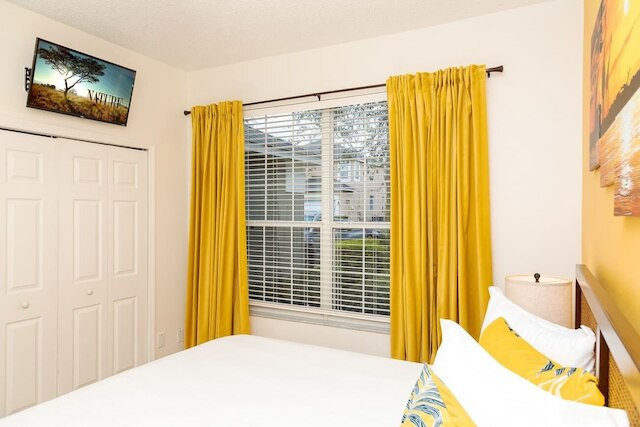 エメラルド アイランド の ジュエル ウィズ ヒーテッドプール！