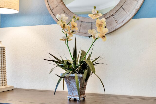 サンセット ビューズ