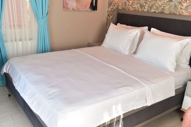 ノヤコッシュオテル