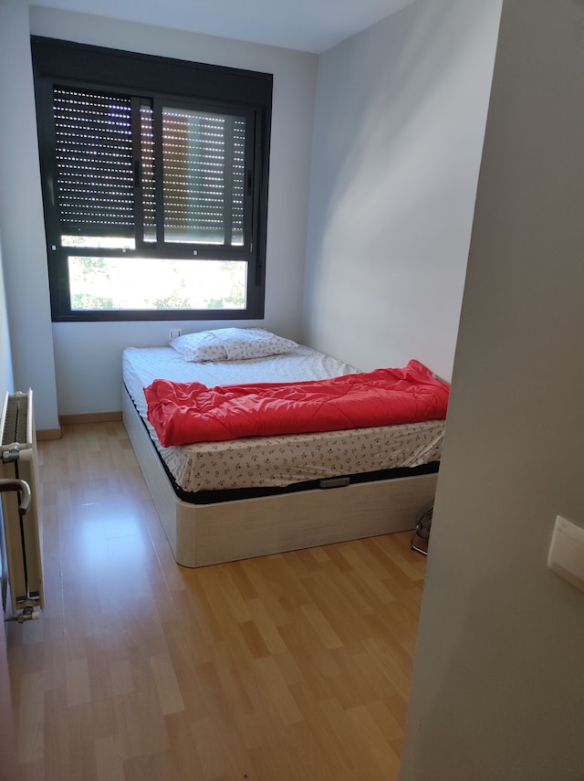 ヒダルメン・アルテ・ルペストレ