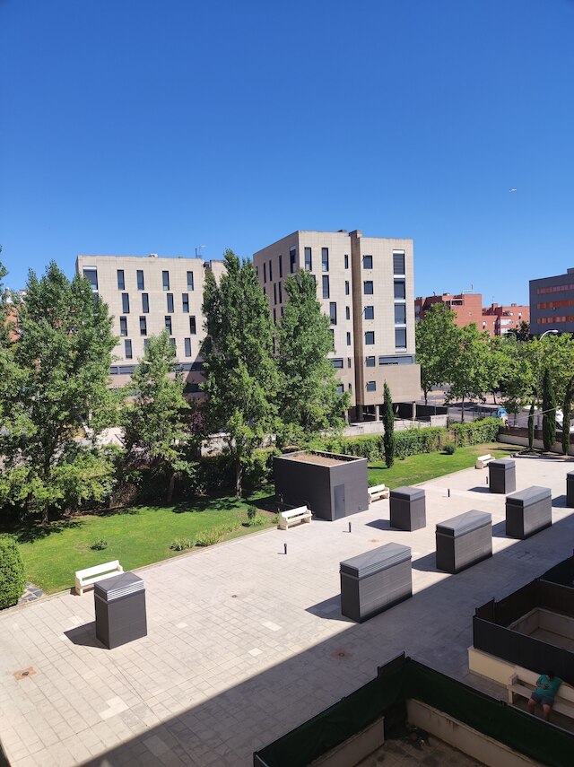 ヒダルメン・アルテ・ルペストレ