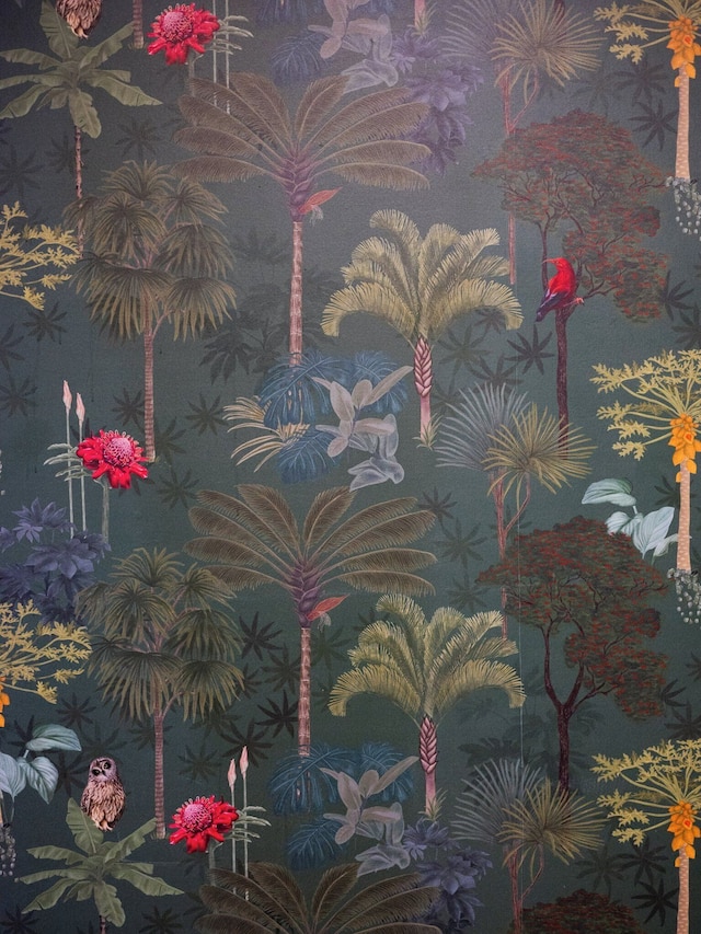 パシフィック 19 コナ