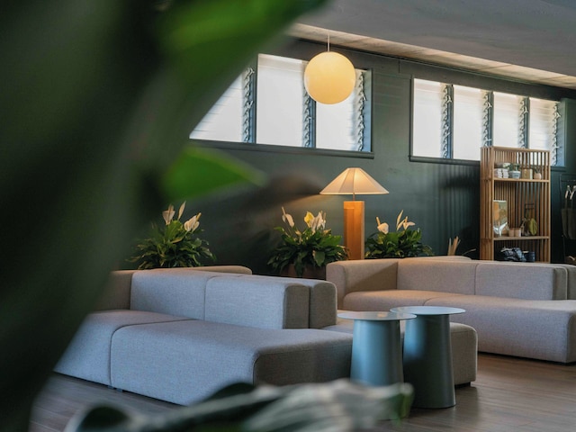 パシフィック 19 コナ